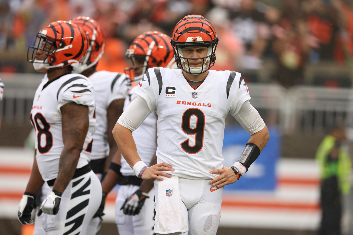 Bengals en casa reciben a los Ravens juego de conferencia -  Blog